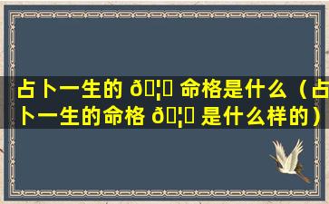 占卜一生的 🦋 命格是什么（占卜一生的命格 🦍 是什么样的）